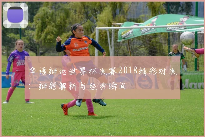 华语辩论世界杯决赛2018精彩对决:辩题解析与经典瞬间