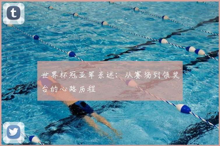 世界杯冠亚军亲述:从赛场到领奖台的心路历程