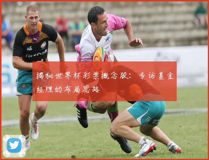 揭秘世界杯彩票概念股：专访基金经理的布局思路