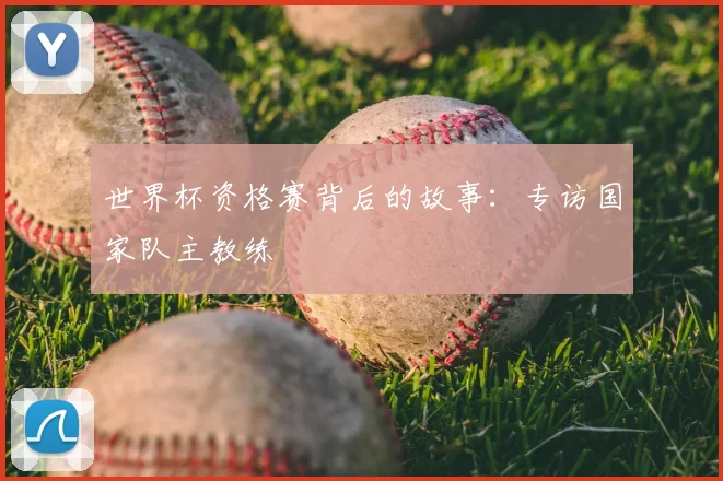 世界杯资格赛背后的故事:专访国家队主教练