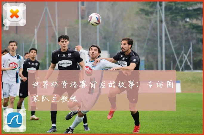 世界杯资格赛背后的故事:专访国家队主教练