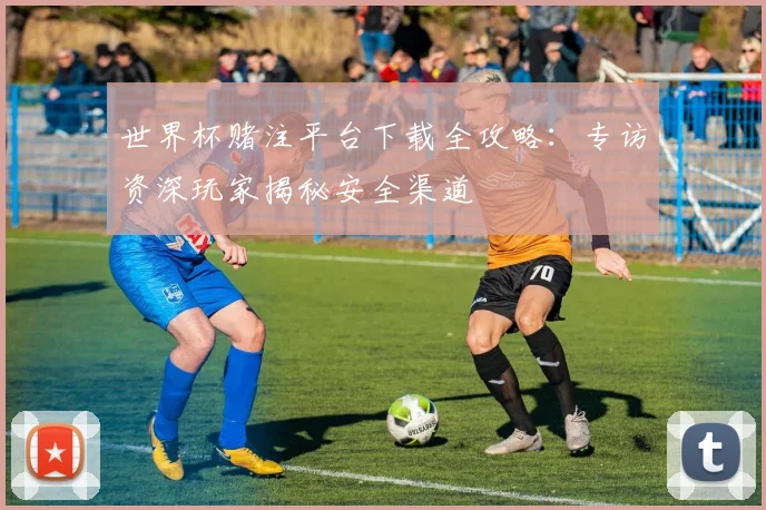 世界杯赌注平台下载全攻略:专访资深玩家揭秘安全渠道