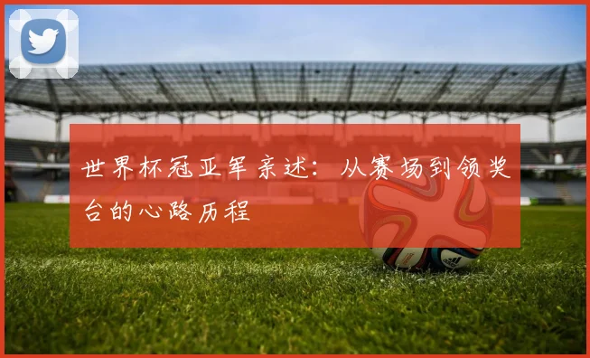 世界杯冠亚军亲述：从赛场到领奖台的心路历程