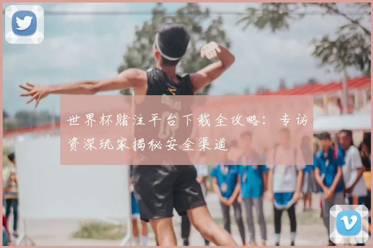 世界杯赌注平台下载全攻略:专访资深玩家揭秘安全渠道