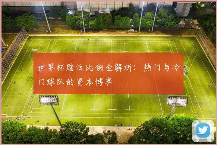 世界杯赌注比例全解析:热门与冷门球队的资本博弈