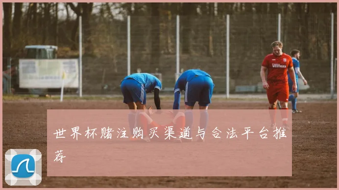 世界杯赌注购买渠道与合法平台推荐
