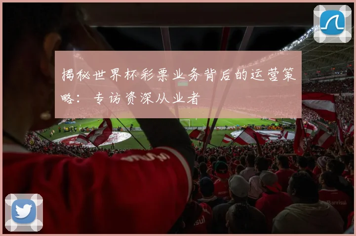 揭秘世界杯彩票业务背后的运营策略：专访资深从业者