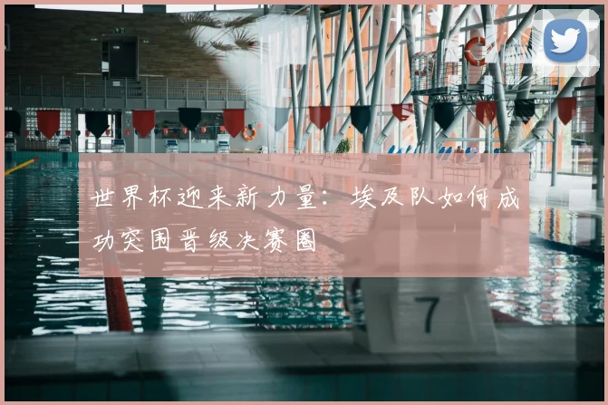 世界杯迎来新力量:埃及队如何成功突围晋级决赛圈